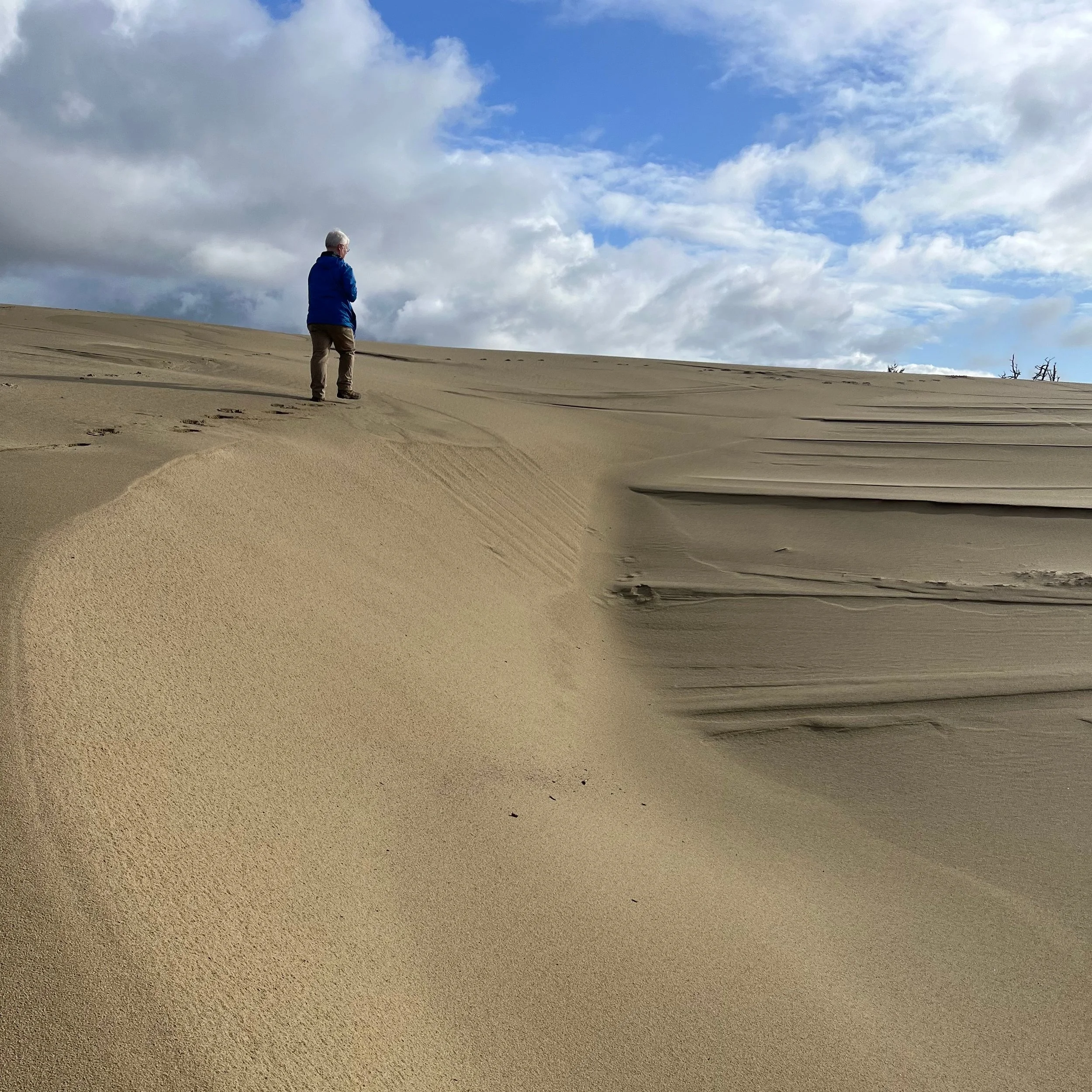 その他 DUNE NO.20 PARADISE The disappearing dunes of 'Dune' — Outside/In